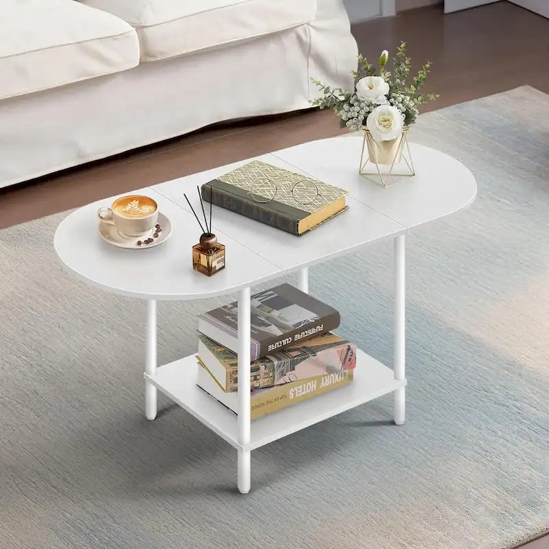 Mid-Century Oval Coffee Table w/2-Tier Storage for Small Spaces