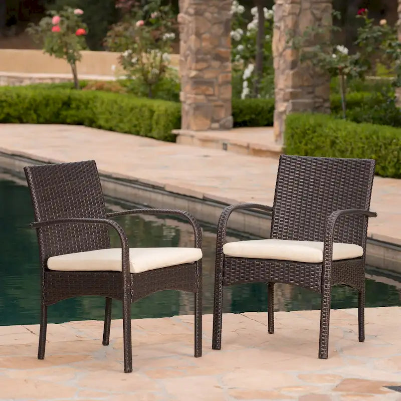 Dining Chair Set of 2