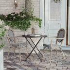 2 Pack All-Weather Commercial Paris Chairs with Arms and metal Frames - N/A