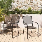 Clihome Patio Steel Mesh Dining Chair (Set of 2)