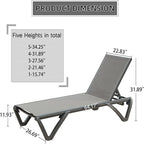 2Pcs Outdoor Aluminum Chaise Lounge with Adjustable Backrest
